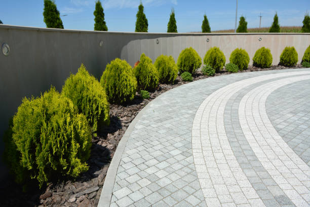 Best Eco-Friendly Driveway Paving in Beecher, MI